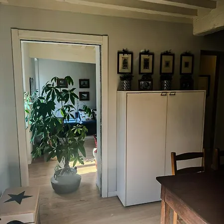 Beautiful Center - Posti Auto Privati Prenotabili Parma